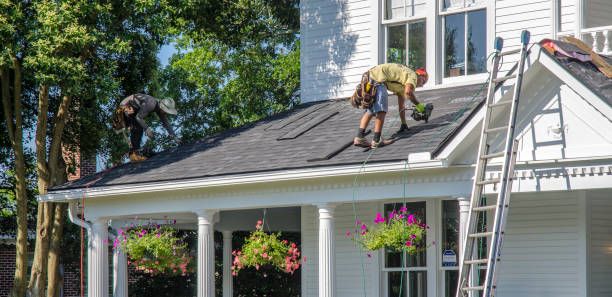 Best Storm Damage Roof Repair  in Shady Hills, FL